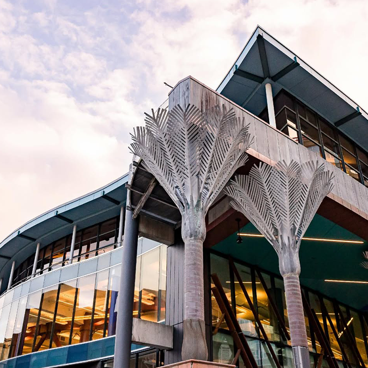Wellington City Council -    Te Matapihi ki te Ao Nui Campaign