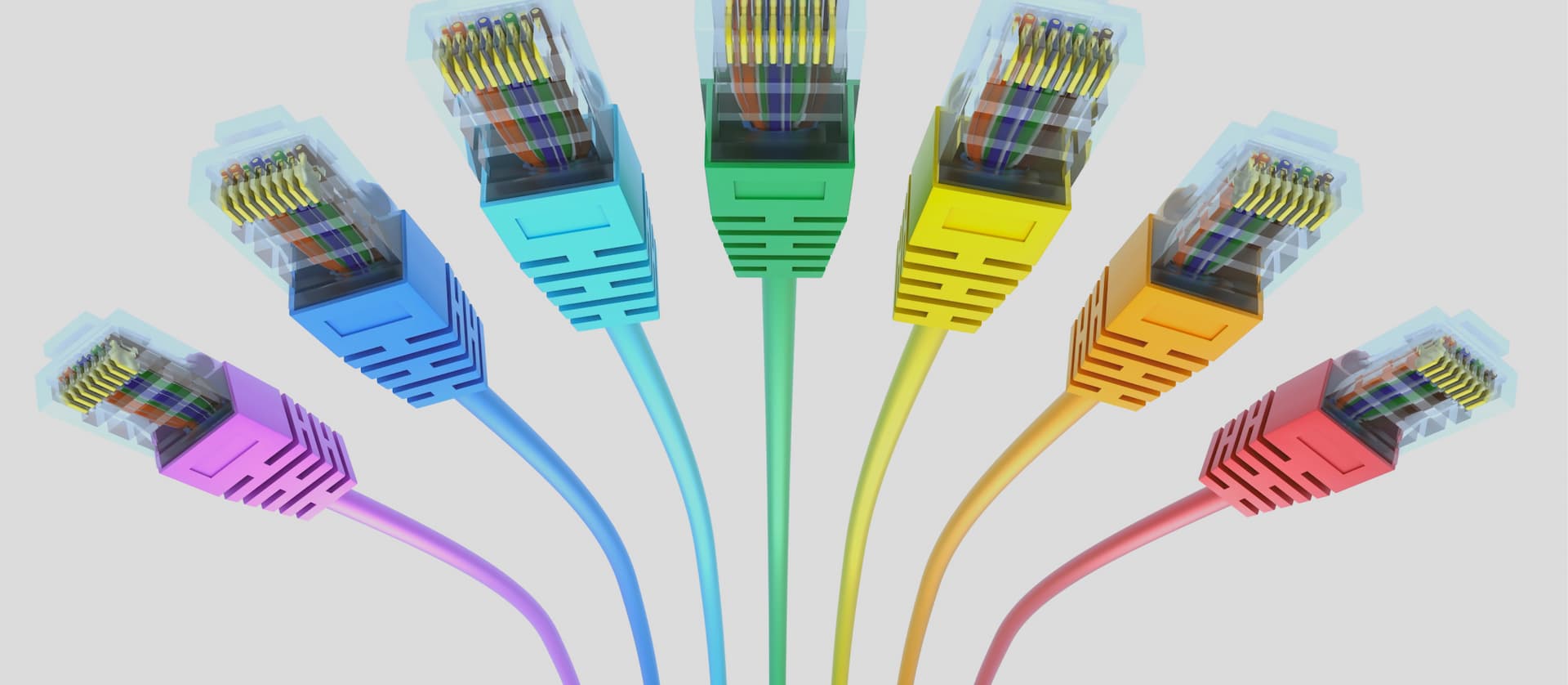 hainesattract_casestudy-university-of-otago-hero-image