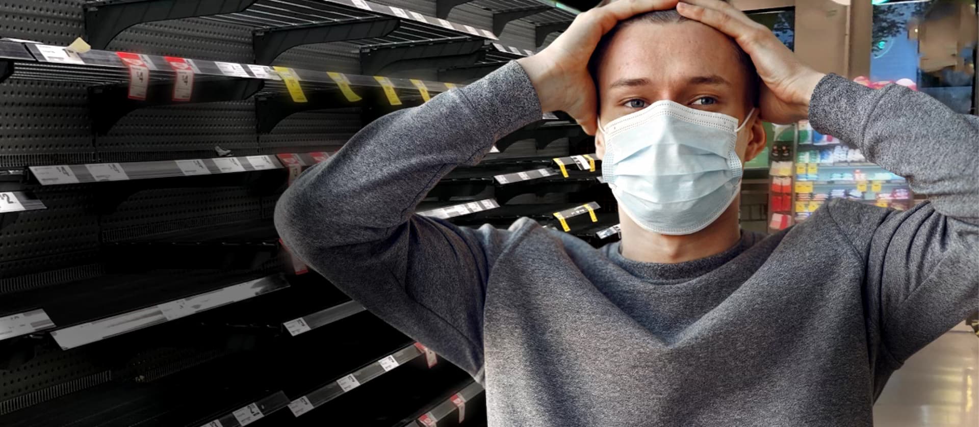 hainesattract_casestudy_la-ara-transport_hero-image