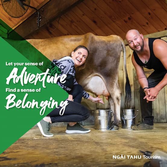 hainesattract_our-work_case-study_ngai-tahu_image2