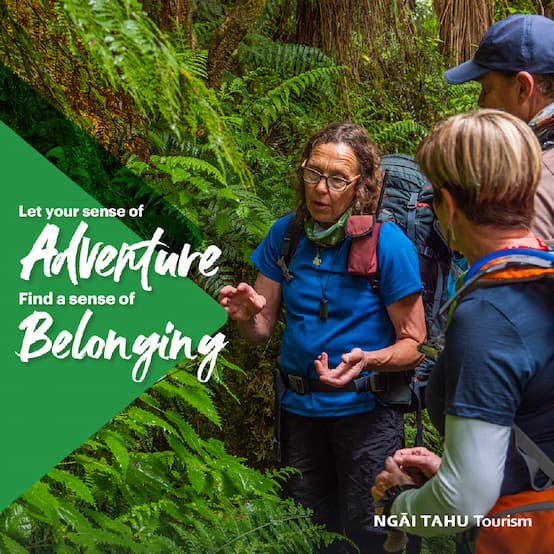 hainesattract_our-work_case-study_ngai-tahu_image4